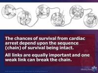 Mosby items and derived items © 2007, 2004 by Mosby, Inc., an affiliate of Elsevier Inc. Cardiopulmonary Resuscitation and AED... 