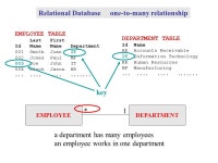 Database collection of related information stored in an organized form Database program software tool for storage & retrieval of... 