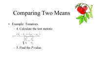 Comparing Two Means and Two Standard Deviations Module ppt download