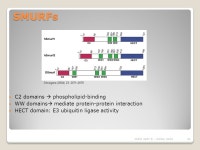 CHMI 4237 E Special topics in Biochemistry Eric R. Gauthier, Ph.D. Dept. Chemistry-Biochemistry Laurentian University Cell... 