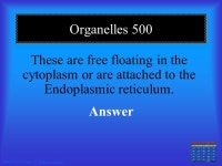 Fish Chapter Review FishPicture ThisSharksSalmonIssues. -  ppt download