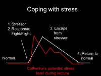 Anxiety Disorders, Autistic Disorder, Attention-Deficit/Hyperactivity Disorder, and Stress Disorders Chapter ppt download