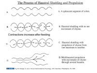 Author: John Williams, M.D., Ph.D., 2009 License: Unless otherwise noted, this material is made available under the terms of the... 