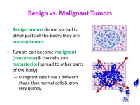 Fun Fact! There are over 200 different types of cells in the human body, each performing specific functions! -  ppt download