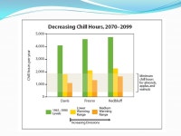 Thomas J. Pfaff Ithaca College. What is Sustainability? Development (Living in such a way) that meets the needs of the present... 