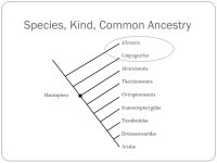 Why I am a Creationist and a Paleontologist Steven King The Bible, Science, and Brontosaurus. -  ppt download