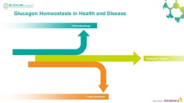Supported by Glucagon: Recent Advances, New Possibilities – the Return of the α Cell Jan Ehses Department of Surgery and Child... 