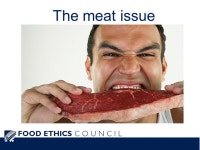 Tackling UK consumption Sue Dibb, Consultant, Food Ethics Council Friends of the Earth, 15 September ppt download