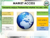 An Overview of the Investment Climate and Opportunities in Tanzania. -  ppt download