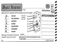 2/12-16/16 Starter: 2/12 Quiz 2/16 2/12-16/ Mitosis Sort and Review Practice: With a partner, match each picture of the stages of... 