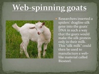 SELECTIVE BREEDING (Hybridization vs. Inbreeding; biotechnology) SELECTIVE BREEDING (Hybridization vs. Inbreeding; biotechnology)... 