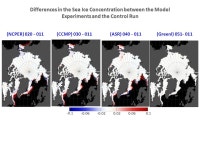 This research was made possible by a grant from BP/GOMRI to the Deep-C Consortium and a grant from Bureau of Ocean Energy... 