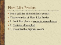Kingdom: Protista The most diverse of the 5 kingdoms Can be... More than 200,000 species Classified by the different. -  ppt... 