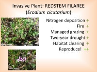 12 Fire, Pollution and Grazing, Oh My! A Game in which Native and Invasive Plants Compete under Multiple Disturbance. -  ppt download