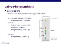 AP Biology Lab Review AP Biology Lab 1: Artificial Selection  Question:  Can extreme selection change the expression of a... 