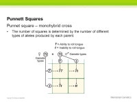 Mendel explained how a dominant allele can mask the presence of a recessive allele. Section 2: Mendelian Genetics K What I Know W... 