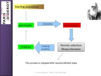 Dr. Florent Barbault, ITODYS (CNRS UMR 7086) Molecular Docking Virtual Screening. -  ppt download