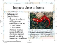 BIG Climate and the Southern Appalachians Our global (BIG) climate driver The BIG climate picture How stable is the BIG climate?... 