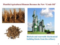 Neal C. Connors, Ph.D. RISE Fellow HS 318,  B.S. Biology (chemistry minor) 1984 – Norwich University  Ph.D. -  ppt download