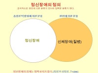 정신장애의 진단과 분류 총론 정신장애의 진단과 분류 총론 DIAGNOSTIC CRITERIA from DSM-IV-TR TM 정동철 신경정신과 의원... 
