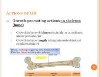 E NDOCRINE S YSTEM Dr. Othman Al-Shboul Department of Physiology & Biochemistry College of Medicine ppt download
