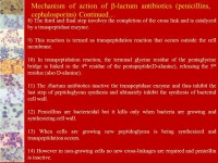 Chemotherapeutic Agents Monica Sharfin Rahman Lecturer, Department of Pharmacy BRAC University. -  ppt download