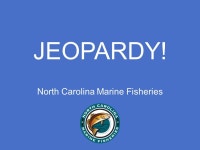 $40 $10 $50 $40 $10 $20 $30 $50 $40 $10 $20 $30 $10 $50 $40 $20 $30 $50 $20 $30 $50 $40 $20 $30 Fish Adaptations. -  ppt download