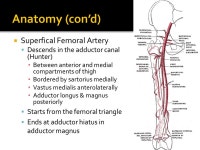 Tanya L. Zakrison Ryder Trauma Center March 02, ppt download