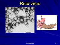 1 Viral Gastroenteritis By : Dr Masoumeh Aslanimehr QUMS Department of Microbiology Dr.M.Aslanimehr. -  ppt download