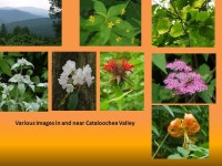 18 th Annual Newsletter for 2012 By Macharold S. Ingram December 24, 2012 Theme: Chain of Thought (See colored words.) Dear... 