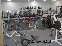 M club a pride Ownership All the Activities specially tailored to suit our Needs. Activities that we can own. A single. -  ppt... 
