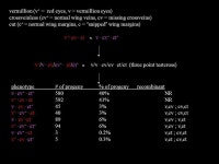 Molecular Biology. 2 Genetics = Information Flow Transmission Genetics = Classical Genetics = information flow between... 