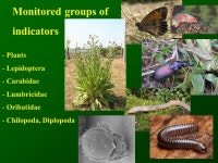 Association of integrated vine production start companies, approx. 600 ha. -  ppt download