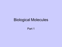 Biological Molecules Part 1. Chemistry of Life All matter is composed of atoms There are 3 types of subatomic particles... 