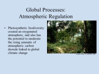 Why is Biodiversity Important? Presentation Working version, December 2003 prepared by M.F. Laverty and E.J. Sterling... 