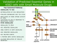 Cellecta, Inc. Targets & Tools March 20/21, 2012 Cellecta, Inc. Targets & Tools March 20/21, 2012 Paul Diehl, Ph.D. Director of... 