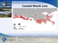  NAWMP - a conservation model  IIC Work Plan  A focus on objectives  NAWMP - a conservation model  IIC Work Plan  A focus on... 