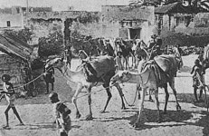 The John Batchelor Show / #AlQaeda: The US $10 million cash bounties & What is to be done? Bill Roggio, FDD #AlQaeda: The US $10... 