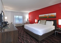     Book Holiday Inn Las Colinas | Irving Hotel Deals