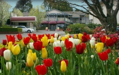     Book Waldorf Leura Gardens Resort | Leura Hotel Deals