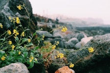 서귀포의 제주 세인트 하우스 2019 특가 및 실제 이용후기 | 익스피디아 호텔 예약 expedia.co.kr