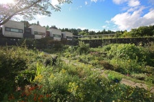     Book B&B Healing Garden | Seogwipo Hotel Deals