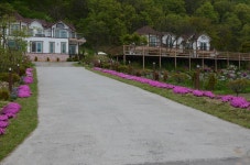 Forest of Color Pension in Hongcheon | Best Rates & Deals on Orbitz