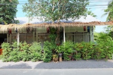  스마일 호스텔 코 팡안, 코팡안 | 익스피디아  호텔 예약