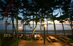 리솜 오션 캐슬, 태안 | 익스피디아  호텔 예약