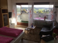 Apartment 485 Barbo for 2 pers. Swimming pool, sauna and fitness in Schoenwald | Best Rates & Deals on Orbitz