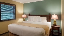2 Bedroom Cottage @ Christmas Mountain Village Resort, Golf/Ski, Wisconsin Dells in Wisconsin Dells | Best Rates & Deals on Orbitz