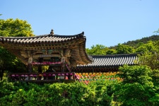 시작가: ₩45,316 해미읍성 근처 인기 호텔 | Hotels.com