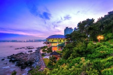 부산 동백공원 근처 호텔, 인기 숙소 예약 | 익스피디아