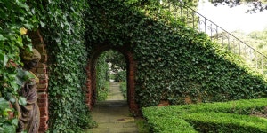 How to Add Gilded Age Glamour to Any Backyard - WSJ How to Add Gilded Age Glamour to Any Backyard